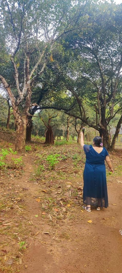 Ethnic Wear & Western Wear Clothing India | Desinoor – DESINOOR.COM