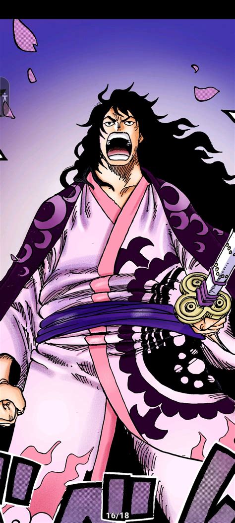 Kozuki momonosuke | Personaggi, One piece, Adulto