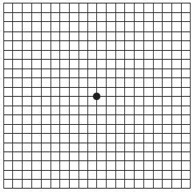 Instructions for testing your sight/vision using the Amsler grid: