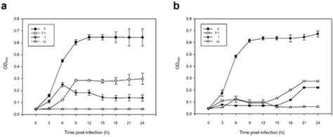 Isolation and Characterization of Two Bacteriophages and Their ...