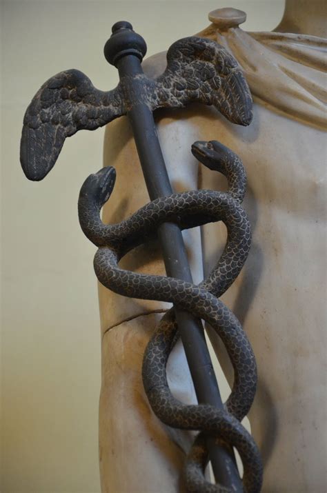 Musei Vaticani Caduceus (heralds staff) Caduceus (kã-dû'sî-ûs) (Kah-du ...