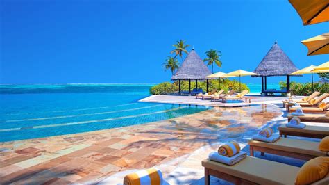 Image result for Virtual Beach Background