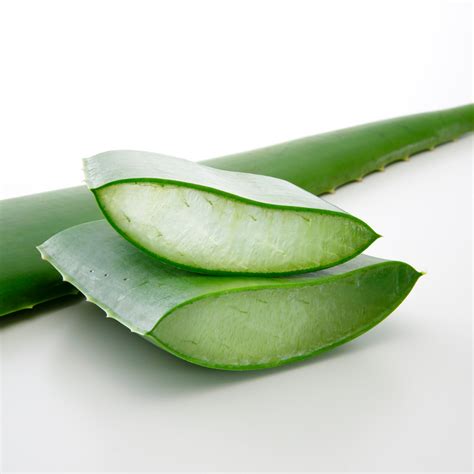 Prevent Prickly Heat Rash with Aloe Vera Gel Natural Remedy