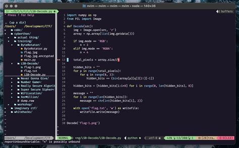 Nvim Config File 的图像结果