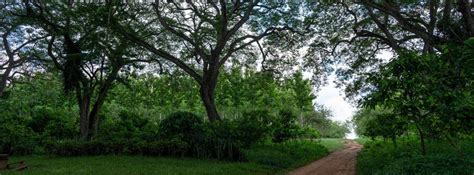 Sharpening Cocoa Horizons looking beyond 2025