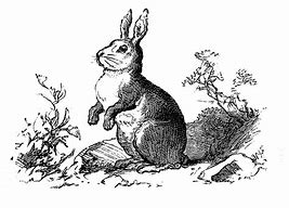 Image result for Vintage Easter Bunny
