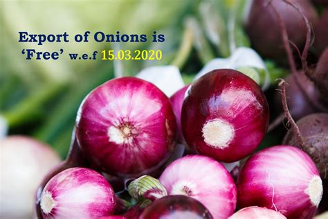Onions Exports - KC Notifications