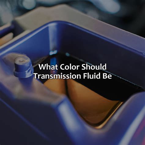 What Color Are Hippos - colorscombo.com