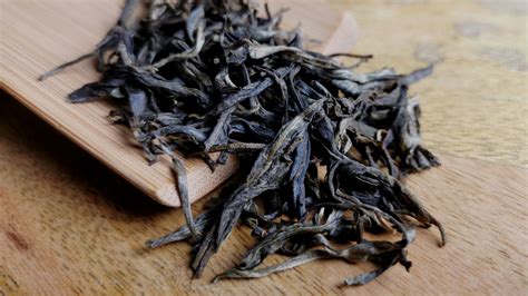 Ancient Tree Mao Cha Sheng Pu-erh - Tea Time one