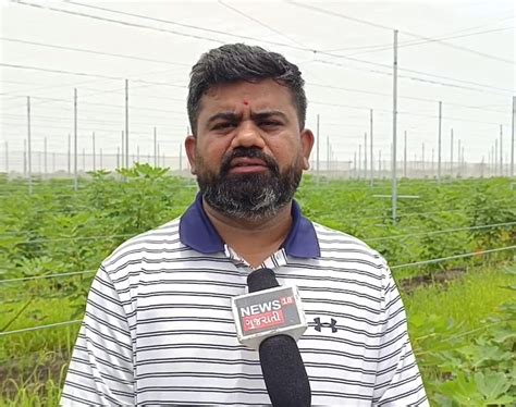 40 વીઘાની ખેતીમાં 3 કરોડની આવક! સુરેન્દ્રનગરના ખેડૂતે ઇઝરાયેલથી રોપા ...