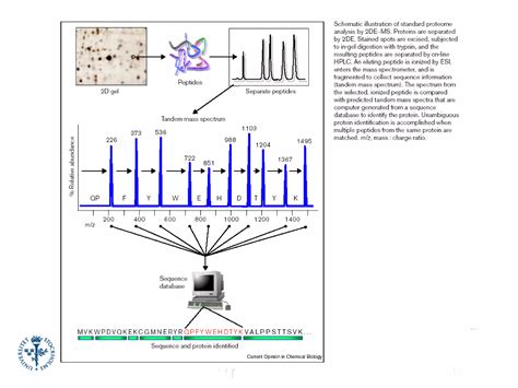 Image result for Mass Spectrometry Tutorial