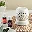 Asian Aura Handcrafted Ceramic Electric Round Shaped Aroma Diffuser ...