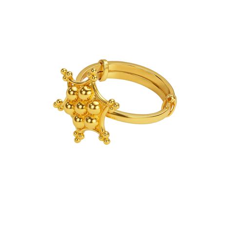 Silver Kudi Nakshatra Ring| 92.5 Silver | 22K Gold Plated