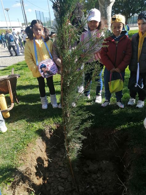Tree-Planting Day 的图像结果