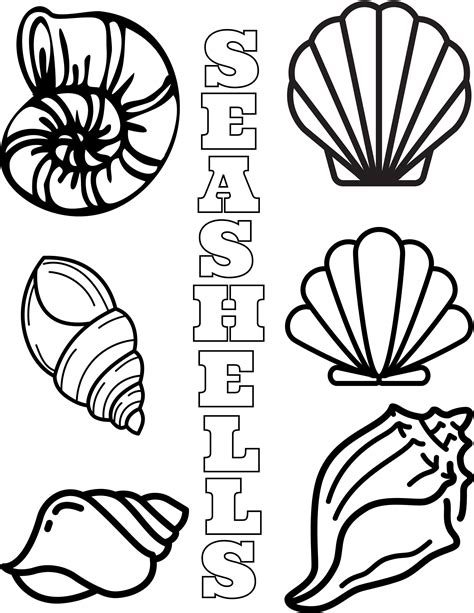 Seashell Coloring Pages