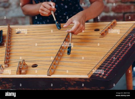 Italian String Instrument 的图像结果