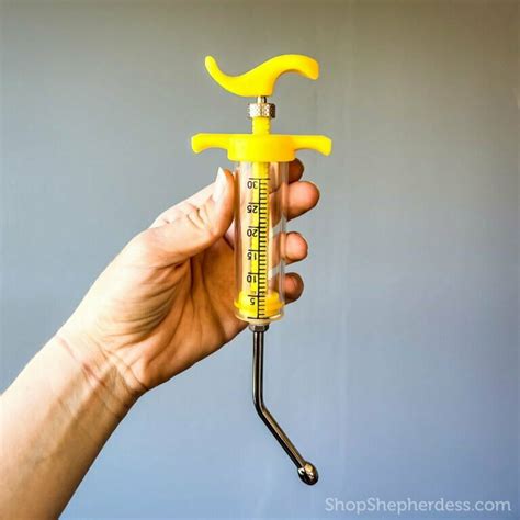 Sheep Care 的图像结果