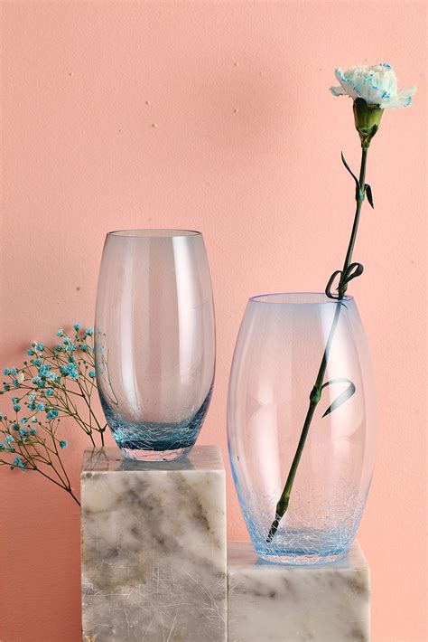 玻璃花瓶花瓶 装饰品瓶 价格:38元