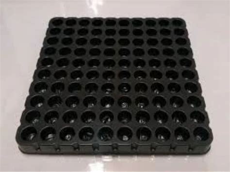 Vacuum Packing Tray Process 的图像结果