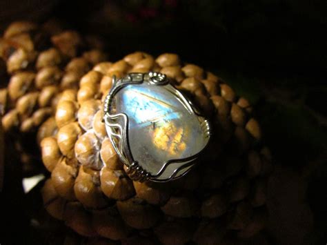 Primitive Nature 的图像结果