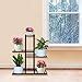TrustBasket Tulip Planter Stand for plant (Black) |Premium Strong ...