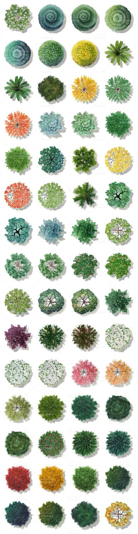 TreePlan 的图像结果