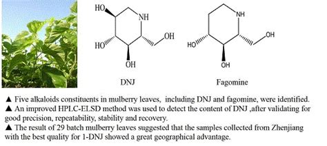 Identification and Determination of the Polyhydroxylated Alkaloids ...