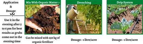 Utkarsh TermiNIL (A Biological Consortium to Control Termites, Grubs ...
