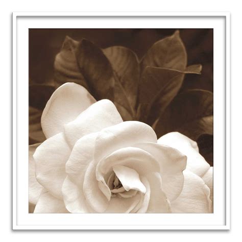 Gardenia Garden – Calcuttan