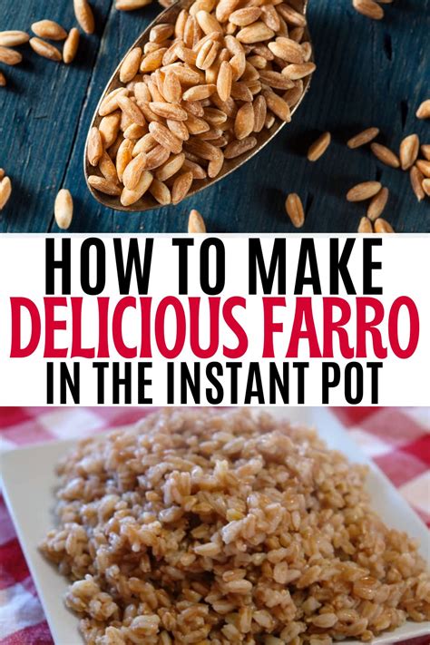 How to Cook Farro Instant Pot Recipe - Retro Housewife Goes Green
