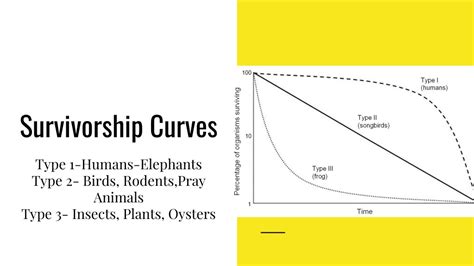 PPT - Crash Course PowerPoint Presentation, free download - ID:421608