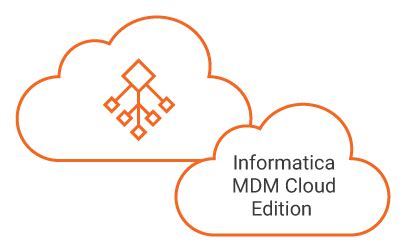 Image result for Multi-Domain MDM Informatica