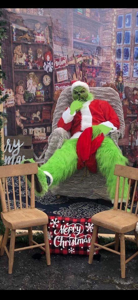 Meet the Grinch , Bella Tresse Salon, Perry Hall, December 9 2023 ...