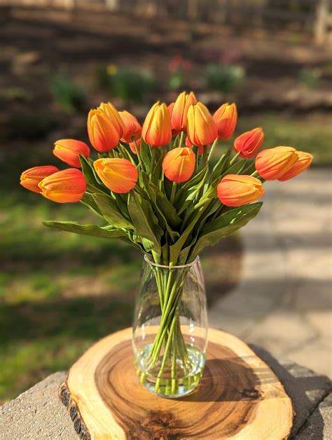 Orange Tulip Real Touch Flowers in Faux Water 19, Tulip Flower ...