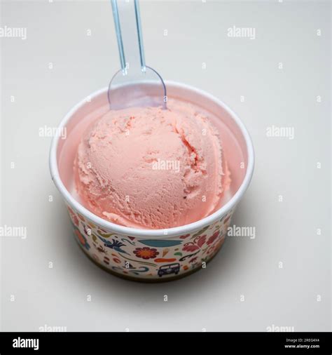 Ice Cream Single Scoop