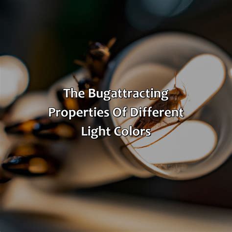 What Color Of Light Does Not Attract Bugs at Marilyn Stumpf blog