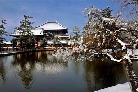 Japan 的图像结果