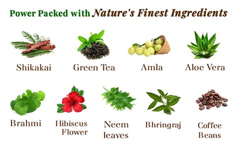 Buy neha herbal Mehandi - 140G (Pack of 2) Online at Low Prices in ...