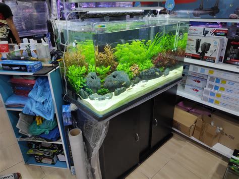 Discus Guide 的图像结果