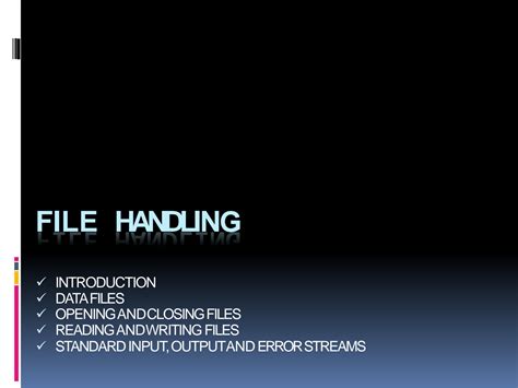 Steam Labs Python File Handling 的图像结果