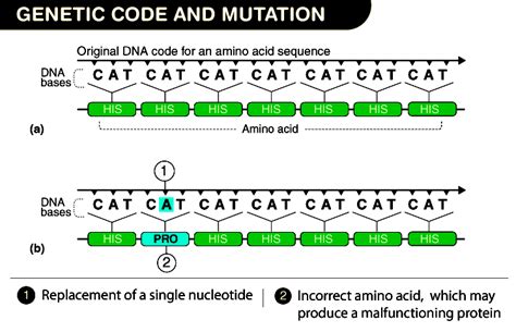 Image result for Mutation Codes