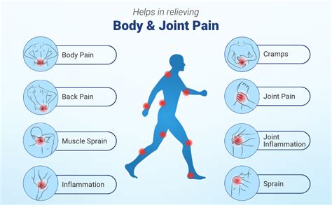 Ortho-XR Pain Relief Massage Oil 120ml (Pack of 1) with Special Warming ...