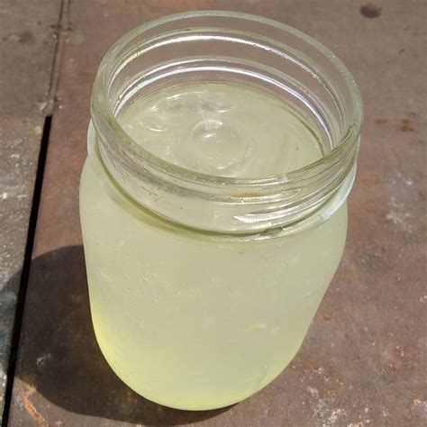 Health benefits of ginger beer - Proven to be healthy! – Food For Life ...