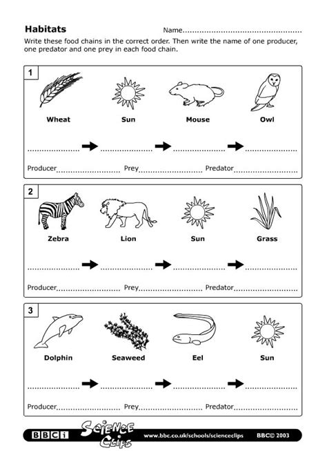 Image result for Computer System Tree