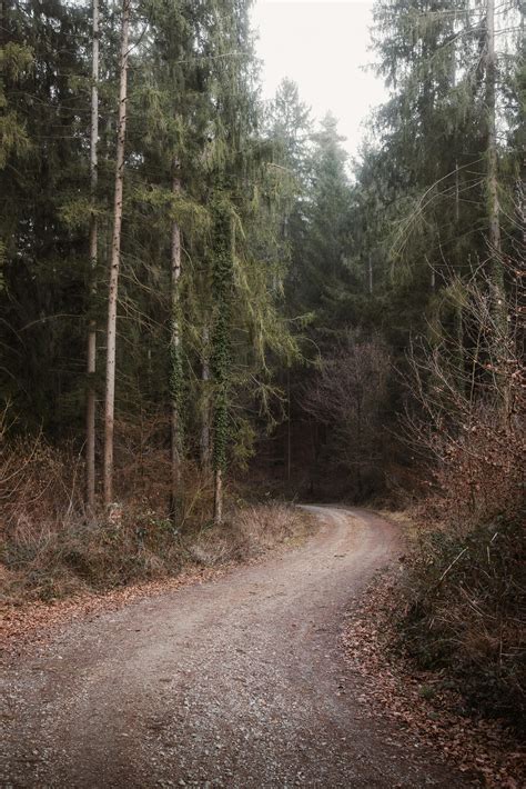 Golf Wallpaper 4K 的图像结果