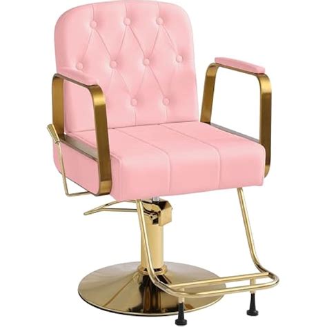 KIGOTY Hair Chair, Reclining Salon Chair, 360 India | Ubuy