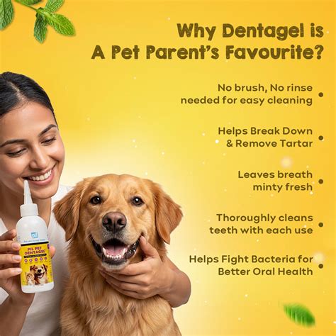 Pet Dentagel – No-Brush Toothpaste for Dogs & Cats | Easy Dental Care – PIL