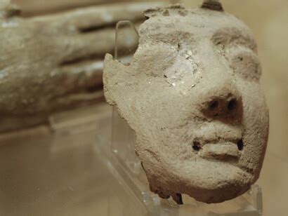 Egyptology | Meer