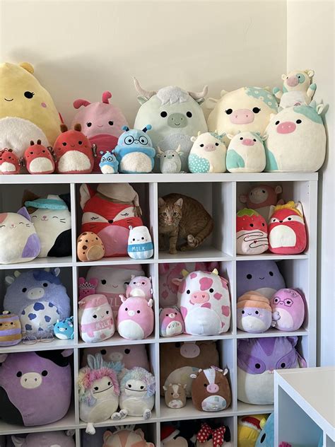 Don’t be suspicious.. don’t be suspicious 🐱 : r/squishmallow