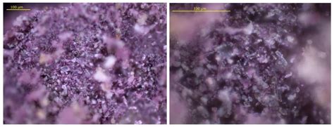 Review and New Evidence on the Molluscan Purple Pigment Used in the ...